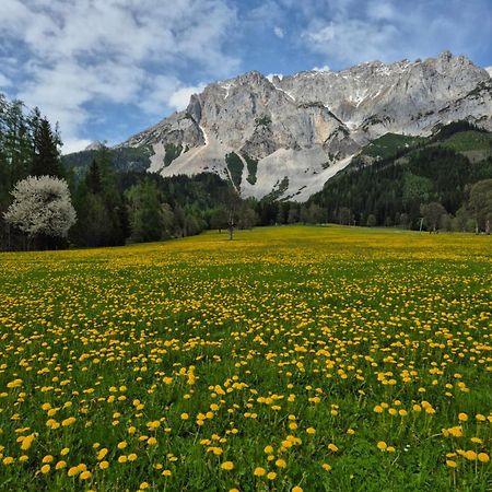 Family Appartment - Dachstein View Ramsau am Dachstein Exteriér fotografie