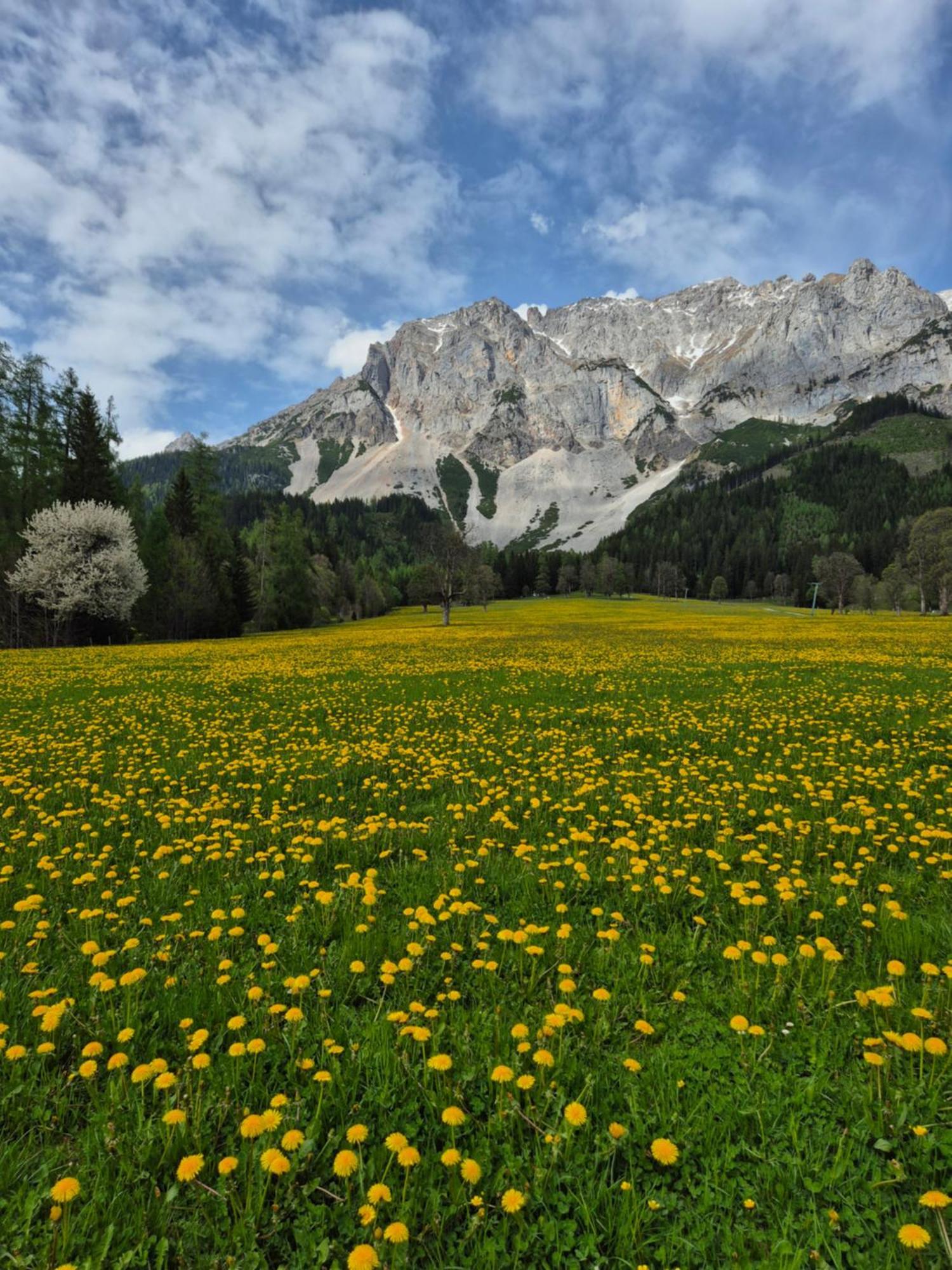 Family Appartment - Dachstein View Ramsau am Dachstein Exteriér fotografie